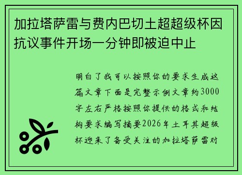 加拉塔萨雷与费内巴切土超超级杯因抗议事件开场一分钟即被迫中止 加拉塔萨雷与费内巴切土超超级杯因抗议事件开场一分钟即被迫中止