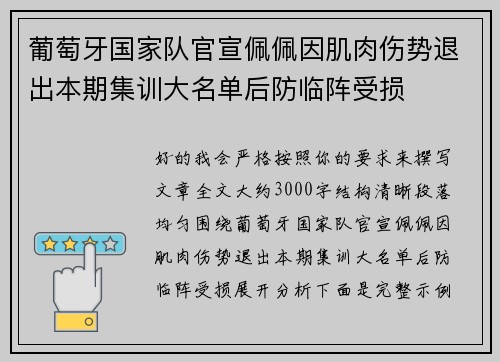 葡萄牙国家队官宣佩佩因肌肉伤势退出本期集训大名单后防临阵受损 葡萄牙国家队官宣佩佩因肌肉伤势退出本期集训大名单后防临阵受损